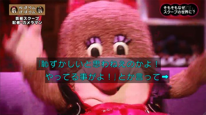 ねほりん 芸能スクープ回のキャプ266