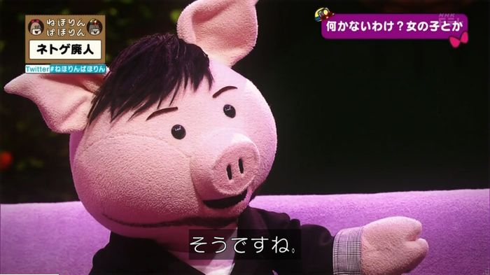 ねほりんネトゲ廃人のキャプ333