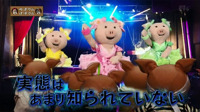 ねほりん 地下アイドル回のキャプ11