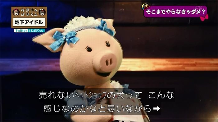 ねほりん 地下アイドル回のキャプ513
