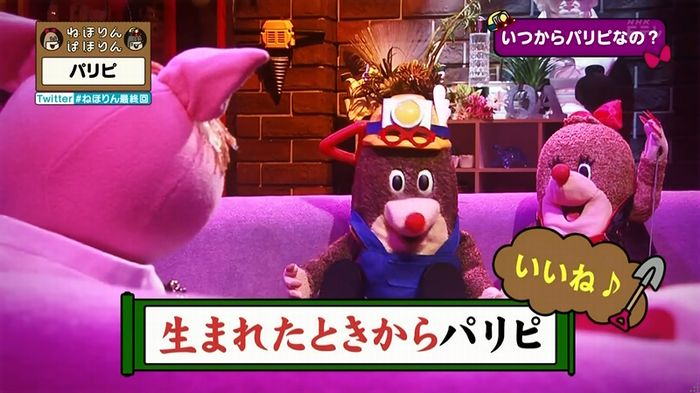 ねほりん 最終回のキャプ263