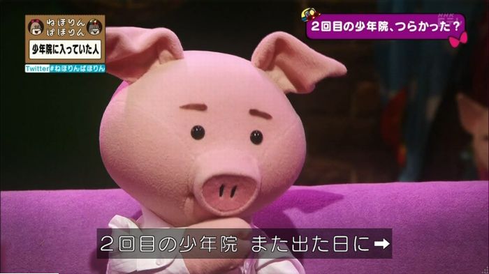 ねほりんぱほりんのキャプ206