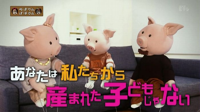 ねほりん 養子回のキャプ6