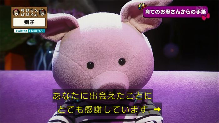 ねほりん 養子回のキャプ424