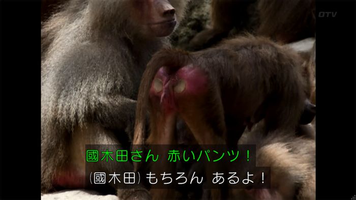 人は見た目が100パーセントのキャプ453