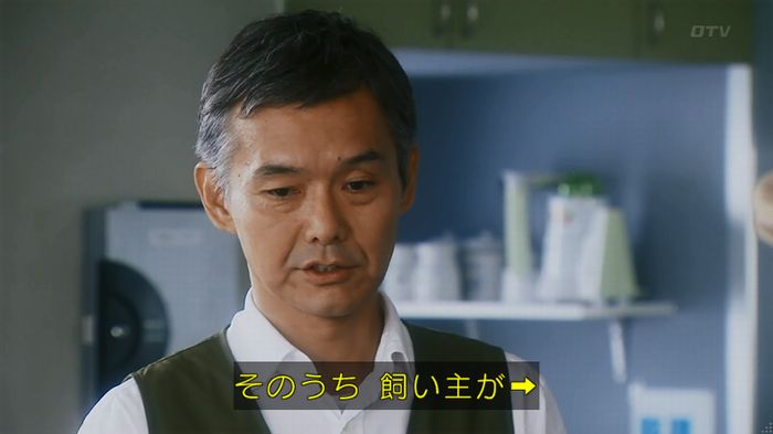 警視庁いきもの係 8話のキャプ79