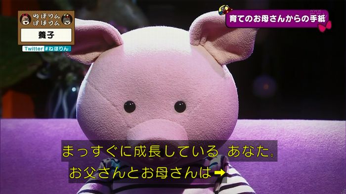 ねほりん 養子回のキャプ423