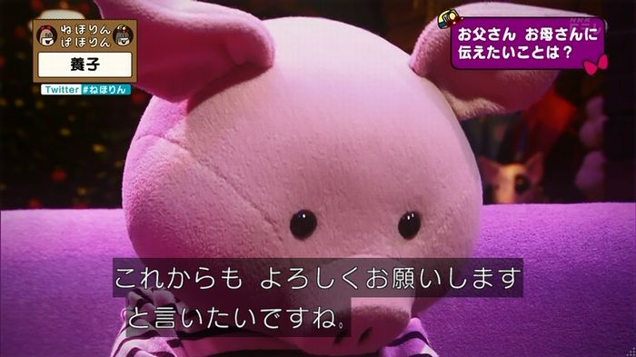 ねほりん 養子回のキャプ445