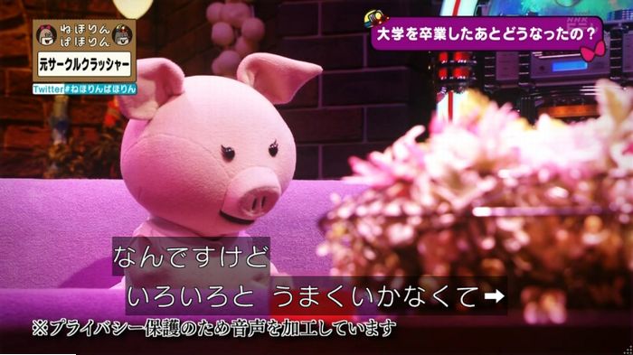 ねほりんぱほりん サークルクラッシャーのキャプ336