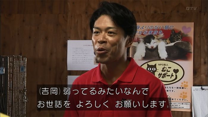 ウツボカズラの夢1話のキャプ388