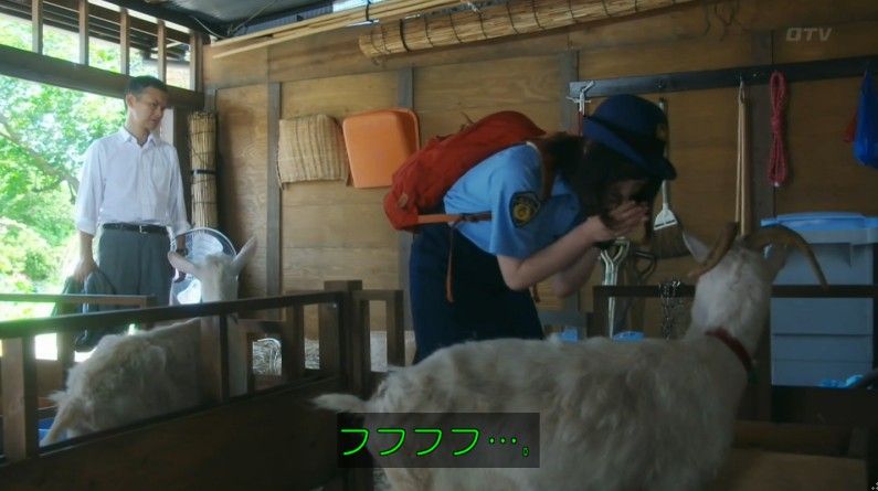 いきもの係 4話のキャプ236