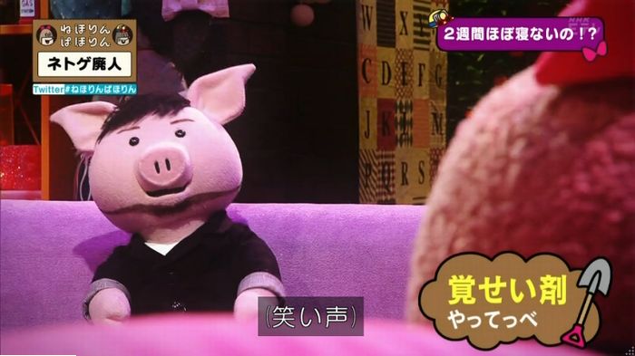 ねほりんネトゲ廃人のキャプ86