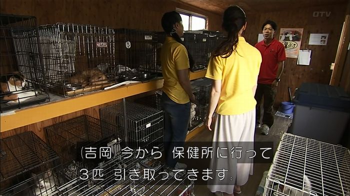 ウツボカズラの夢1話のキャプ387