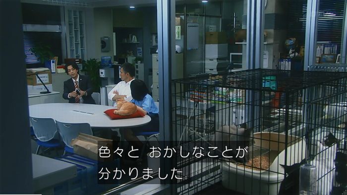 警視庁いきもの係 9話のキャプ638