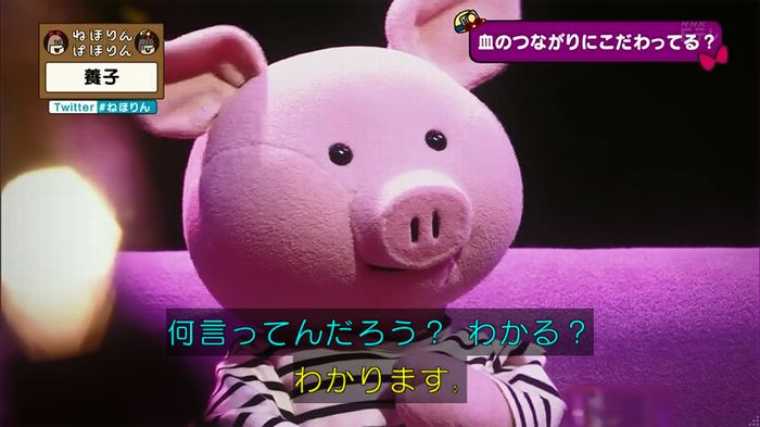 ねほりん 養子回のキャプ358