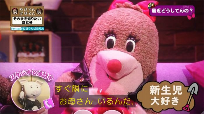 ねほりんぱほりんのキャプ260