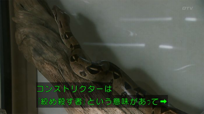 いきもの係 3話のキャプ190