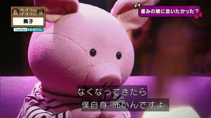 ねほりん 養子回のキャプ303