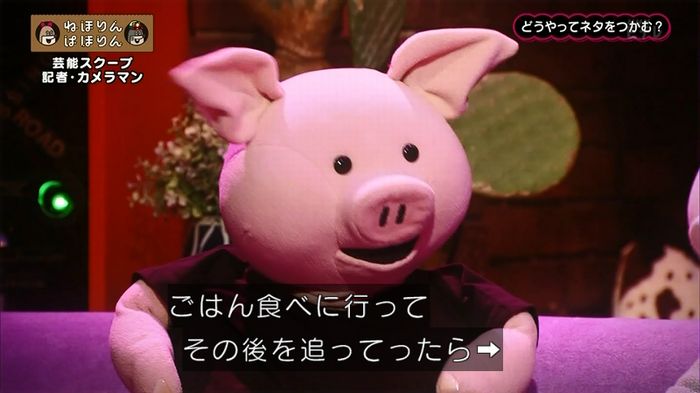 ねほりん 芸能スクープ回のキャプ41