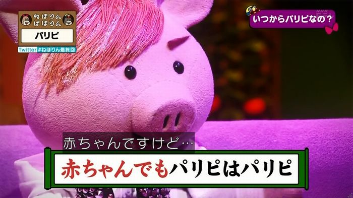 ねほりん 最終回のキャプ265