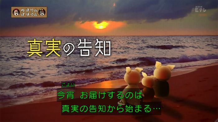 ねほりん 養子回のキャプ9