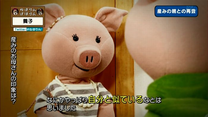 ねほりん 養子回のキャプ319