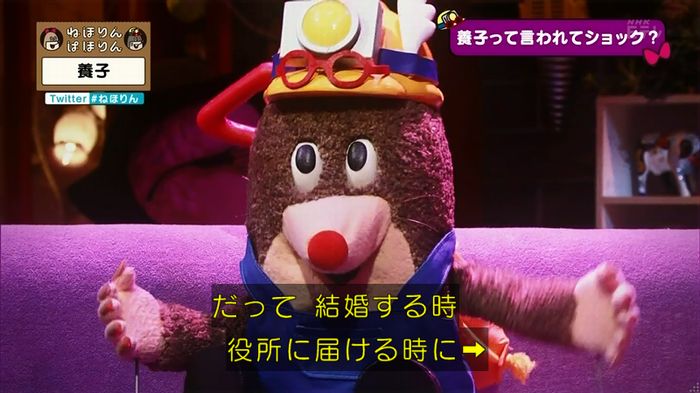 ねほりん 養子回のキャプ103