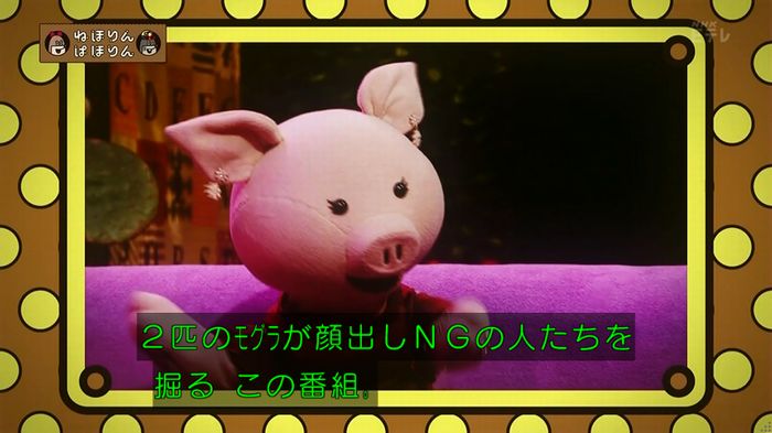 ねほりん 最終回のキャプ5