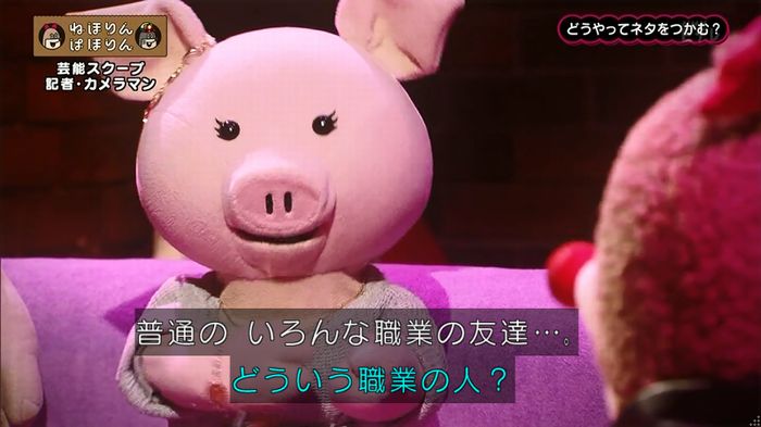 ねほりん 芸能スクープ回のキャプ48