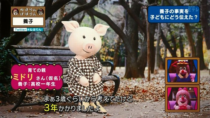 ねほりん 養子回のキャプ121