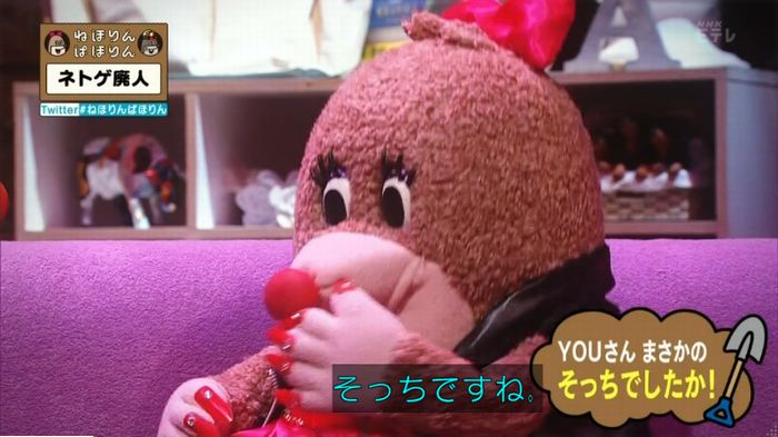 ねほりんネトゲ廃人のキャプ19