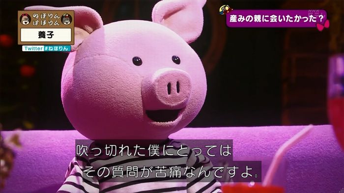ねほりん 養子回のキャプ290