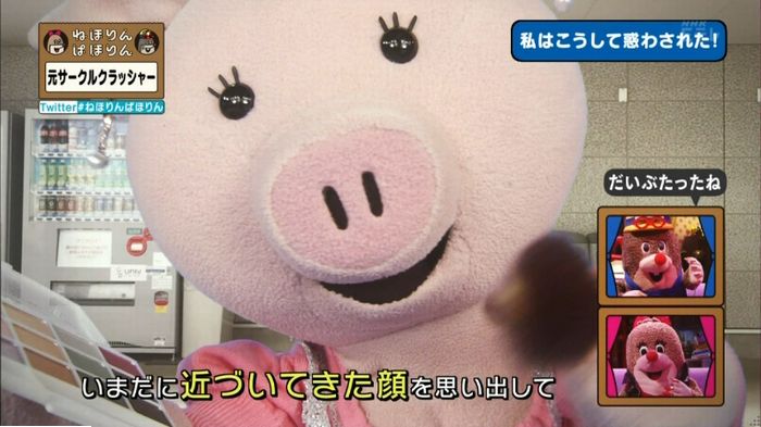ねほりんぱほりん サークルクラッシャーのキャプ247