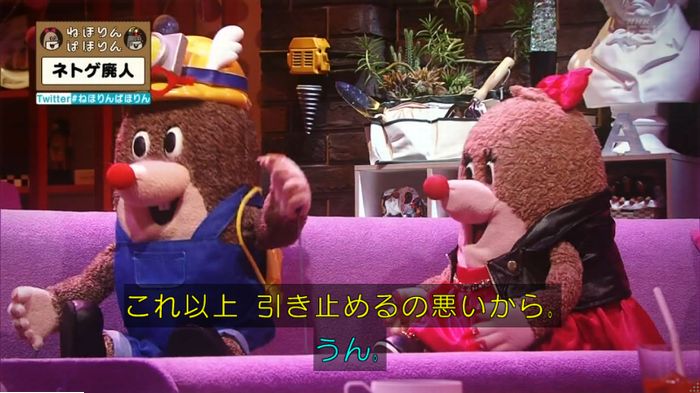 ねほりんネトゲ廃人のキャプ480