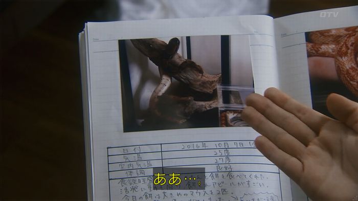 いきもの係 3話のキャプ240