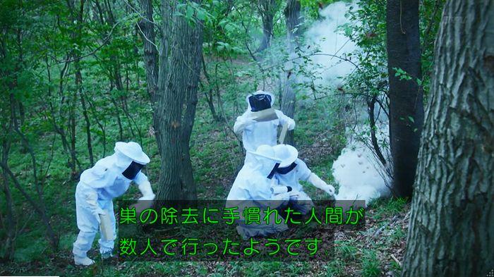 警視庁いきもの係 9話のキャプ584