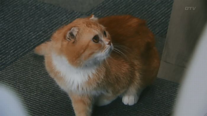 いきもの係 3話のキャプ55