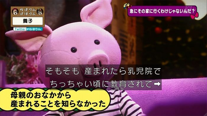 ねほりん 養子回のキャプ66