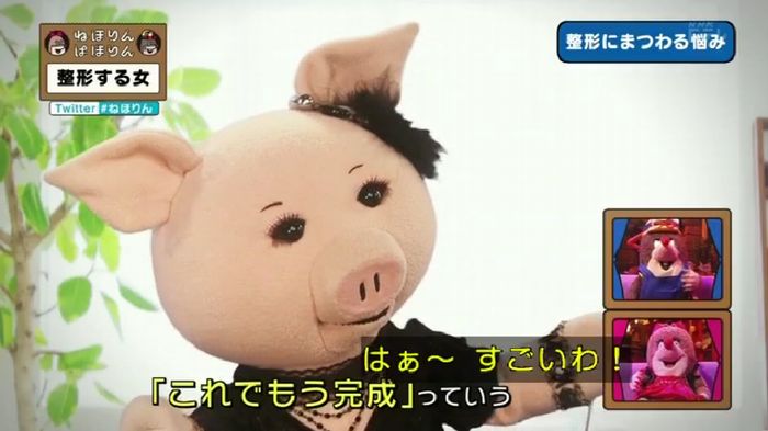 ねほりんぱほりんのキャプ376