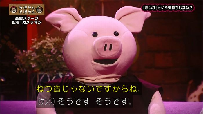 ねほりん 芸能スクープ回のキャプ294