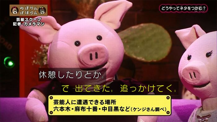 ねほりん 芸能スクープ回のキャプ35