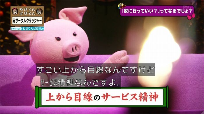ねほりんぱほりん サークルクラッシャーのキャプ225