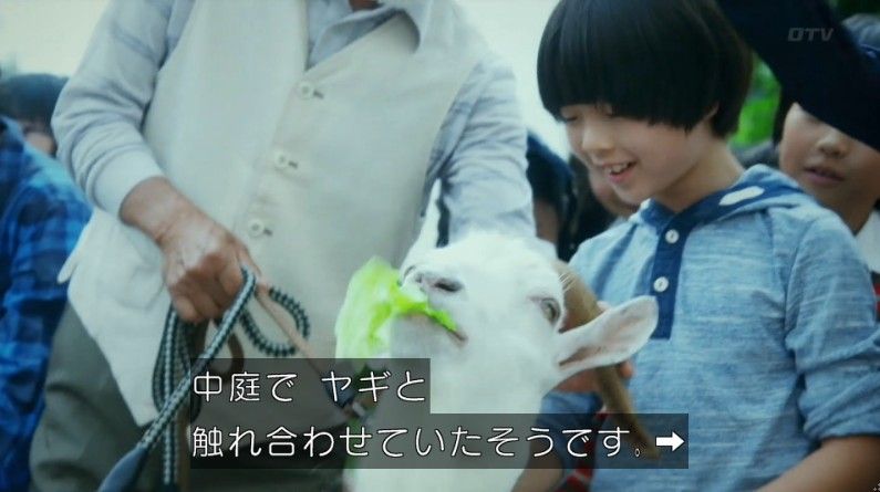 いきもの係 4話のキャプ158