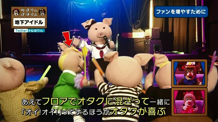ねほりん 地下アイドル回のキャプ379