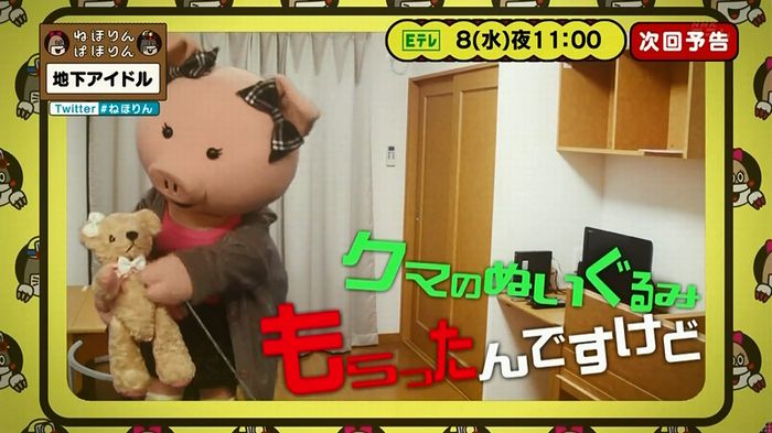 ねほりん 地下アイドル回のキャプ548