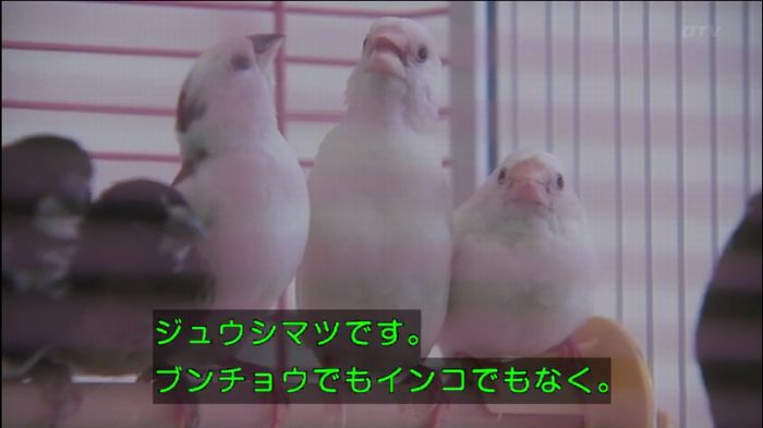 272