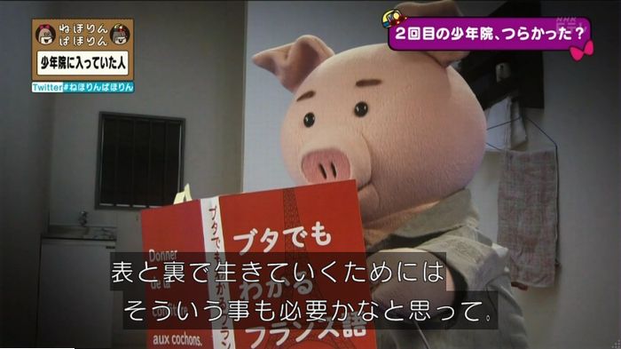 ねほりんぱほりんのキャプ204