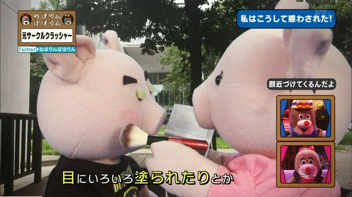 ねほりんぱほりん サークルクラッシャーのキャプ236