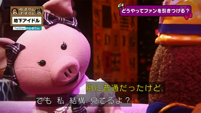 ねほりん 地下アイドル回のキャプ453
