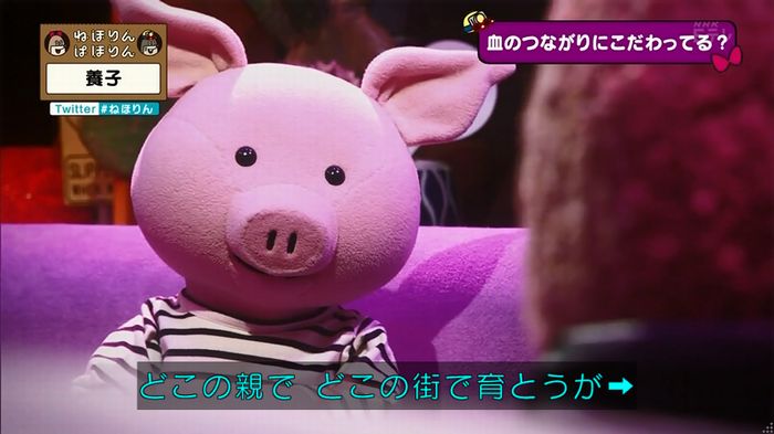ねほりん 養子回のキャプ356